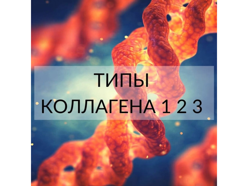 1, 2 та 3 тип колагену. У чому різниця?